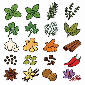 Herbs and Spices Vector Icon Set for Cooking and Food Design