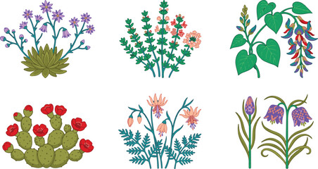 Colorful Vintage Botanical Wildflowers Cactus Jade Vine Vector Set Isolated White Background © RASNA