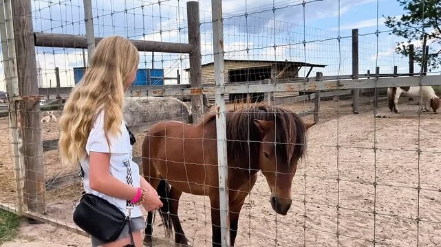A teenage girl feeds a friendly horse through a fence at a petting zoo. Close interaction with farm animals during a summer family vacation promotes kindness and animal care.