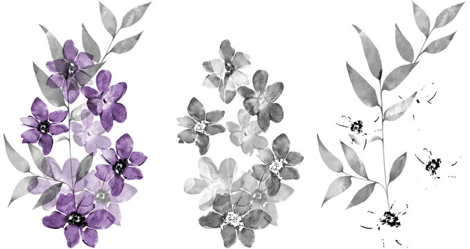 Ilustraci&oacute;n bot&aacute;nica en acuarela monocrom&aacute;tica con ramas, hojas y flores en tonos grises. Estilo art&iacute;stico delicado, pinceladas suaves y composici&oacute;n org&aacute;nica, ideal para estampados textiles, papeler&iacute;a