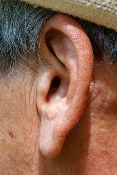 Close-up of human ear with visible skin texture and gray hair
