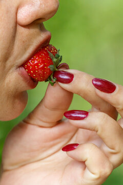 Hand holds fresh strawberry near lips