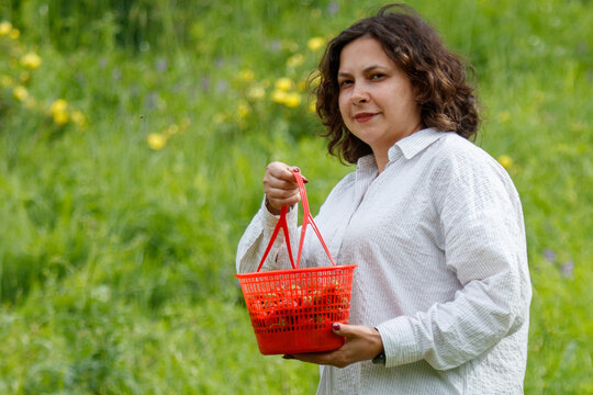 Woman holds red basket with strawberries in green field