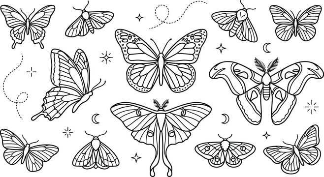 Celestial butterfly and moth line art vector bundle featuring monarch luna moth and mystical stars isolated doodle icons on white background