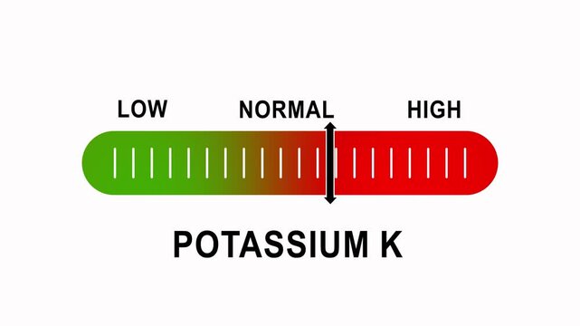 Potassium k level indicator gauge animation: medical diagnostic scale showing low to ranges electrolyte