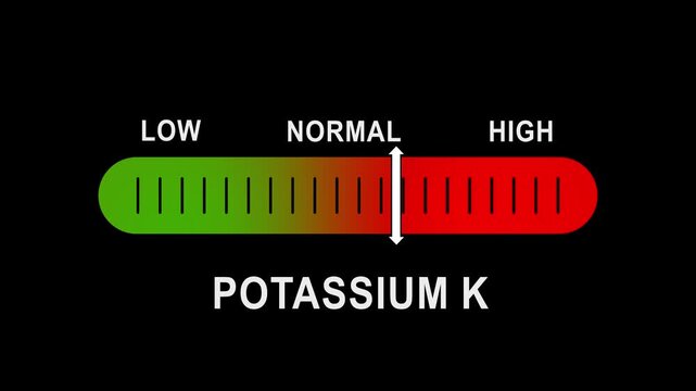 Potassium k level indicator gauge animation: low, normal, and medical diagnostic scale test health