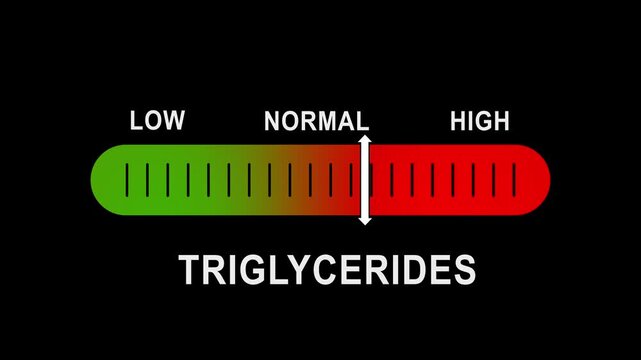 Triglycerides level indicator gauge animation: low, normal, and health monitoring scale cholesterol medical