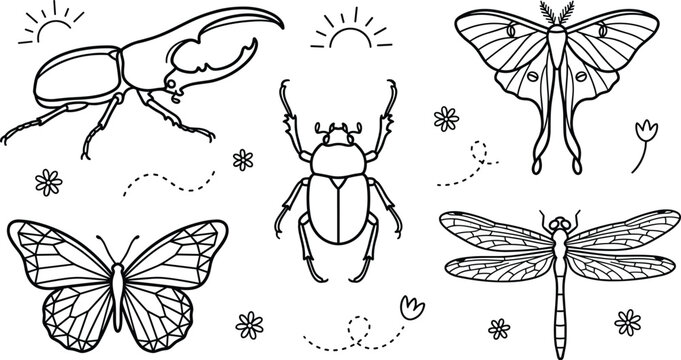 Hand drawn mystical insect line art vector bundle featuring hercules beetle scarab butterfly luna moth and dragonfly isolated on white background