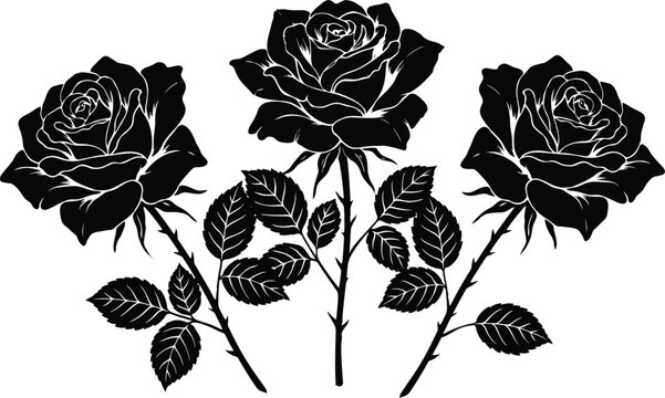 Three black silhouette rose flowers with stems and leaves vector illustration for wedding floral decoration graphic design (17 words)