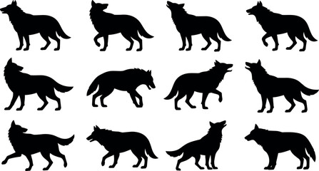 Fototapeta premium Wolf silhouette vector collection featuring various poses like howling standing walking and prowling on white background