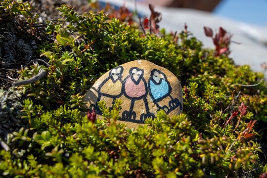 Traveling Stone on an Alpine Mountainside in Austria.