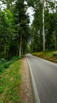 abgelegene Strasse durch den Schwarzwald in Deutschland 