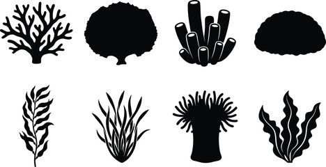 Vector silhouette collection of ocean coral reefs, seaweeds, sea anemones, and underwater marine plants © MdBabul