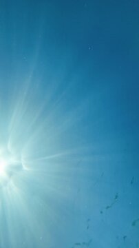 Vertical deep blue underwater ocean with dramatic sunlight rays penetrating from surface, abstract marine background, 4K_2_silent_IMG_5259_20s_0,50