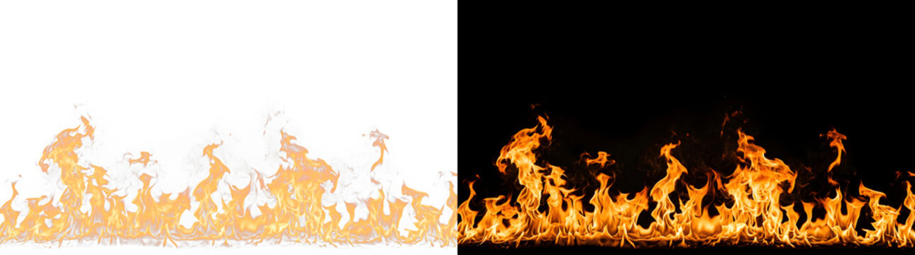 Real fire flame row isolated on white and black backgrounds with combustion