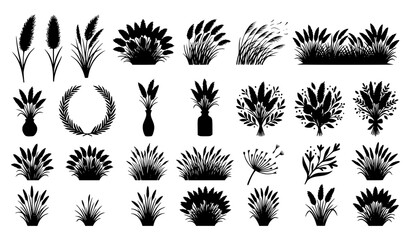 Pink Muhly Grass Botanical Vector Set with Decorative Garden Plants and Floral Landscape Elements © zarina