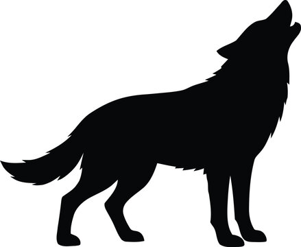 wolf vector illustration
