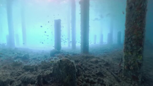 Marine Exploration: Underwater View of Submerged Jetty Pillars and Pilings at Blue Heron Bridge in Riviera Beach, Florida in 4K