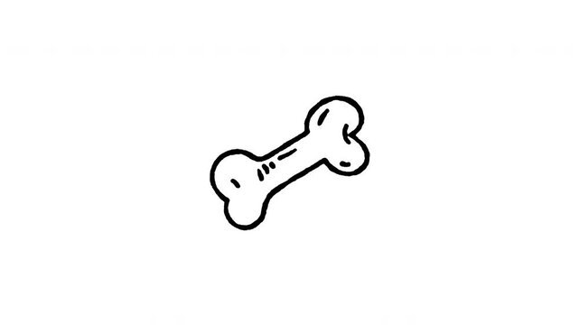 Hand drawn 4K pet chew bone doodle animation with boiling line motion. Frame by frame outline on black and green screen backgrounds, perfect for dog treats, canine toy, bone snack, and pet shop.