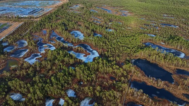 Aerial still drone 4K video of the partially frozen wetlands of Viru Bog (Viru Raba) in Lahemaa National Park, Estonia. Winding bog pools, Scots pine (Pinus sylvestris) forest and the iconic Viru Bog 