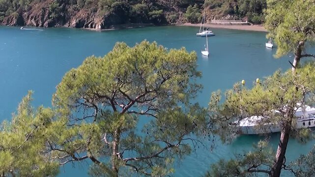 Witness the breathtaking splendor of Oludeniz Bay, Turkey. Lush pine-covered hills frame the pristine turquoise waters.