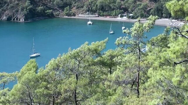 Capture the exquisite tranquility of Oludeniz Bay, Turkey. Majestic sailboats find harbor on the vibrant turquoise sea, cradled by towering emerald trees. A perfect moment of natural splendor.