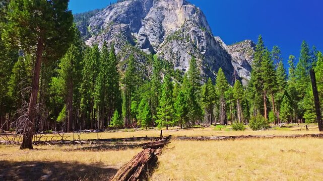 Golden sunset light glows across the panoramic mountain landscape of Kings Canyon National Park