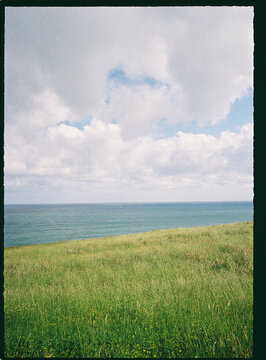 Green coastal meadow overlooking blue ocean under clouds