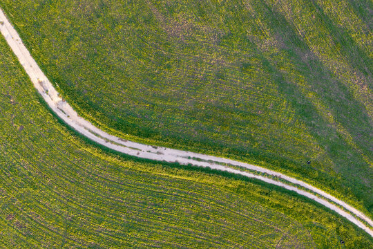Narrow country lane winding through rich green farmland