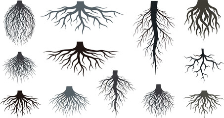 Tree and plant underground root systems vector illustration set with various branching patterns taproots fibrous networks and organic soil anchors for botanical nature graphics. © MdSaddam