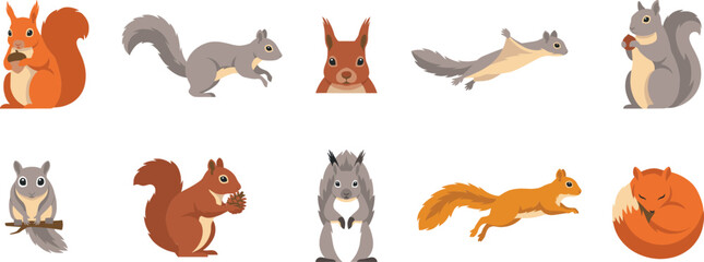 Fototapeta premium Squirrel species flat vector icon set with flying chipmunk and red gray rodents isolated on white backdrop