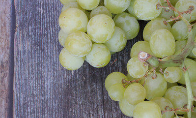 green grapes on a wooden table © Ana Maria