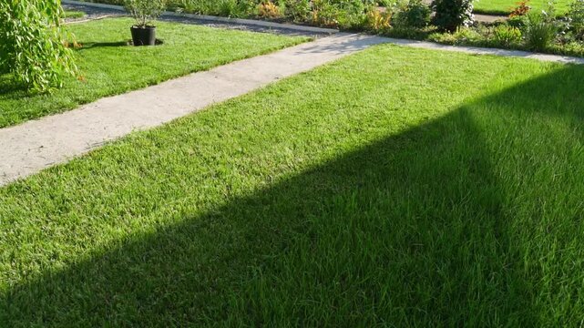 Green lawn with stone pathway in landscaped garden 