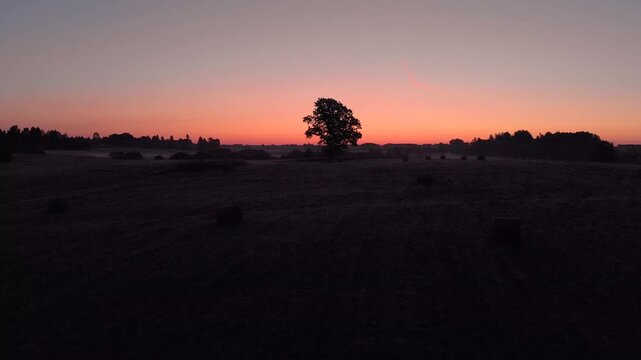 sunrise over the field