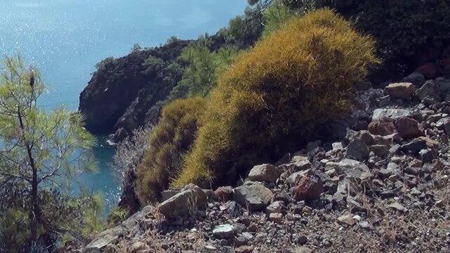Experience the enchanting beauty of Oludeniz Bay, Turkey, bathed in sunlight. Glistening blue waters lap against a dramatic, rocky shoreline.