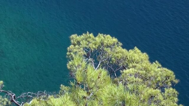 Breathtaking overhead view reveals stunning natural beauty Oludeniz Bay Turkey. Crystal-clear turquoise waters gently meet verdant cliff adorned with lush green trees creating peaceful coastal dream.