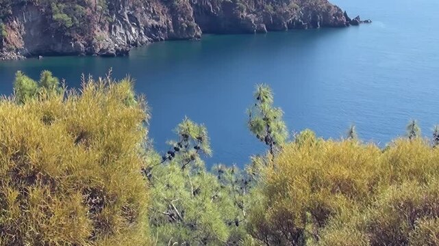 Experience the serene majesty of Oludeniz Bay in Turkey. Lush golden bushes frame a panoramic vista of deep blue waters and rugged coastal cliffs.