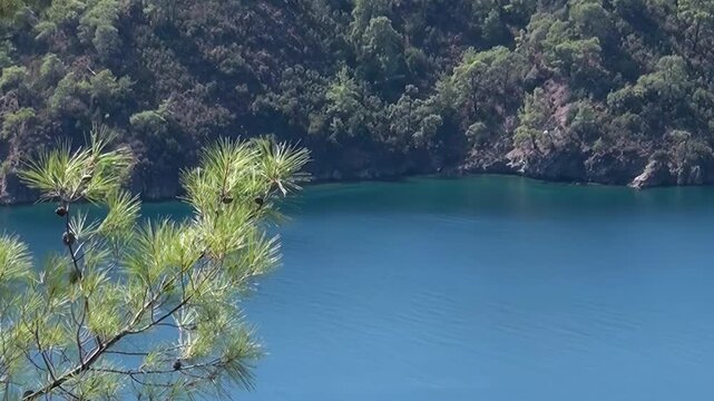 Gaze upon the tranquil beauty of Oludeniz Bay, Turkey, on a bright day. Deep azure waters meet lush green hills, with a graceful pine branch in the foreground. A perfect escape into nature's serenity.
