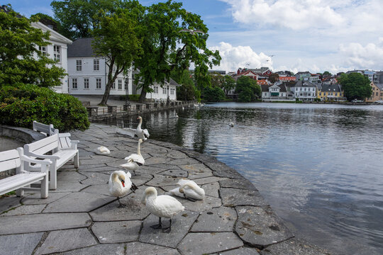 From Stavanger, Rogaland, Norway