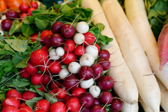 Bunte Radieschen und wei&szlig;er Rettich auf Gem&uuml;semarktstand