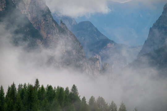 Moody mountain landscape with jagged peaks shrouded in thick mist above a dark evergreen forest foreground.
