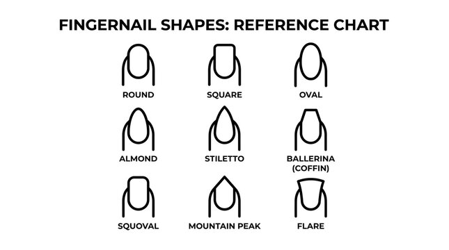 Fingernail Shapes Reference Chart Guide Diagram for Manicure and Nail Art Salon