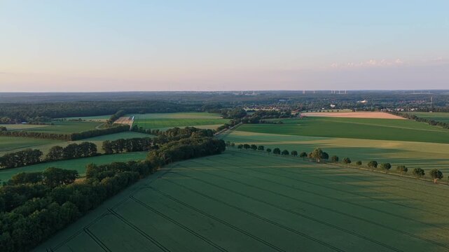 Crop plantation at farm. Agriculture and cultivation. Aerial top view on green crop field. Nature environment. Green harvest in field. Summer green field. Agricultural aerial landscape