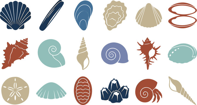 Marine Seashell Collection Featuring Scallop Oyster Mussel Conch Snail Shell Nautical Beach Treasures and Ocean Vector Illustration Set