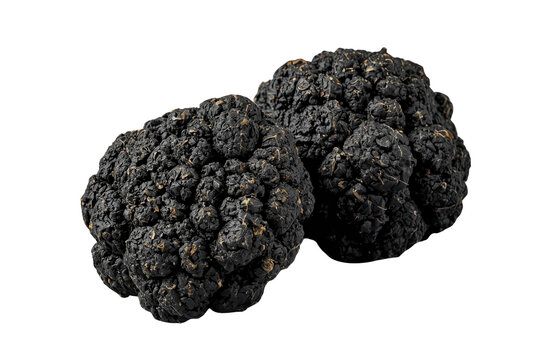 Three whole black truffles