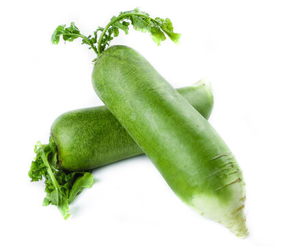 Fresh Green Radishes with Leaves Isolated on White Background - Healthy Asian Vegetables