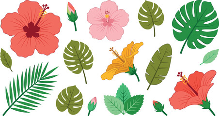 Exotic Tropical Hibiscus Flower and Monstera Palm Leaf Vector Graphic Set Featuring Colorful Botanical Blossoms and Rainforest Foliage for Summer Designs © MstSapla