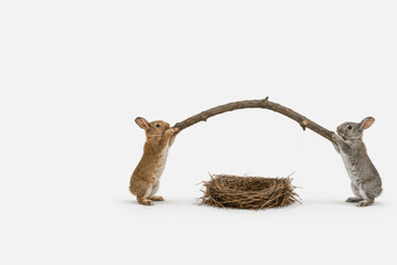 Fototapeta premium Two rabbits hold a branch above an empty nest. Space for text.