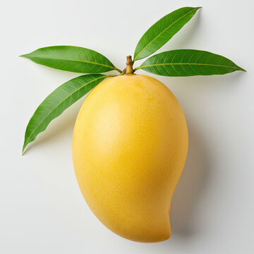 mango fruit with leaf isolated