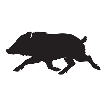 Running javelina (collared peccary) black silhouette vector icon in a dynamic side view. Clean, solid black wildlife illustration isolated on a white background. 